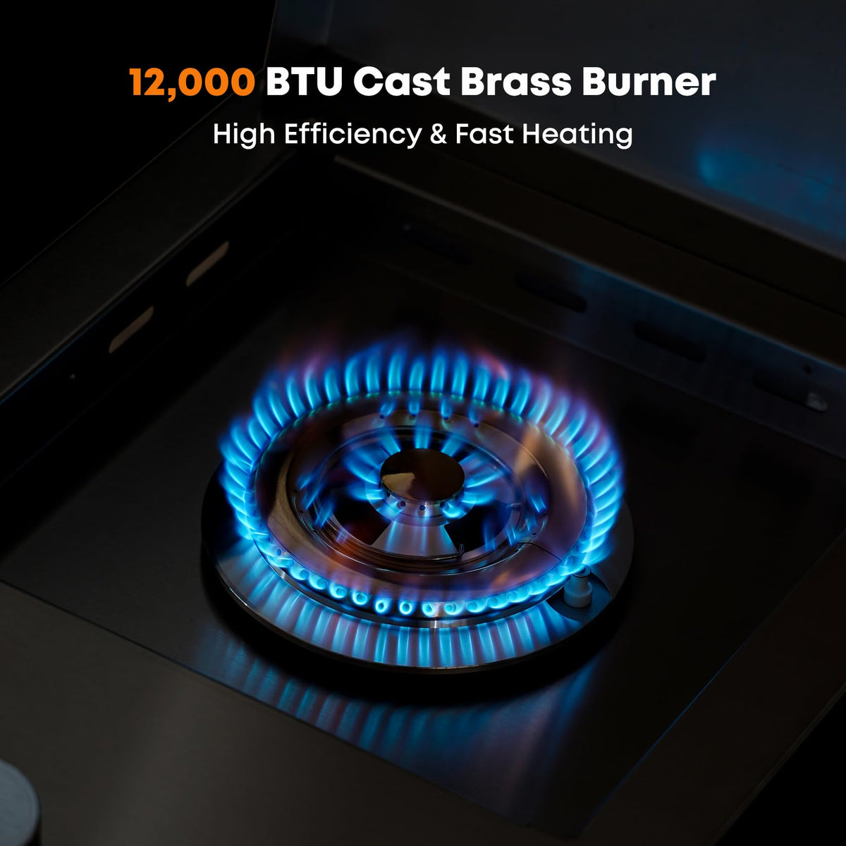Built-In Propane Gas Side Burner P84425