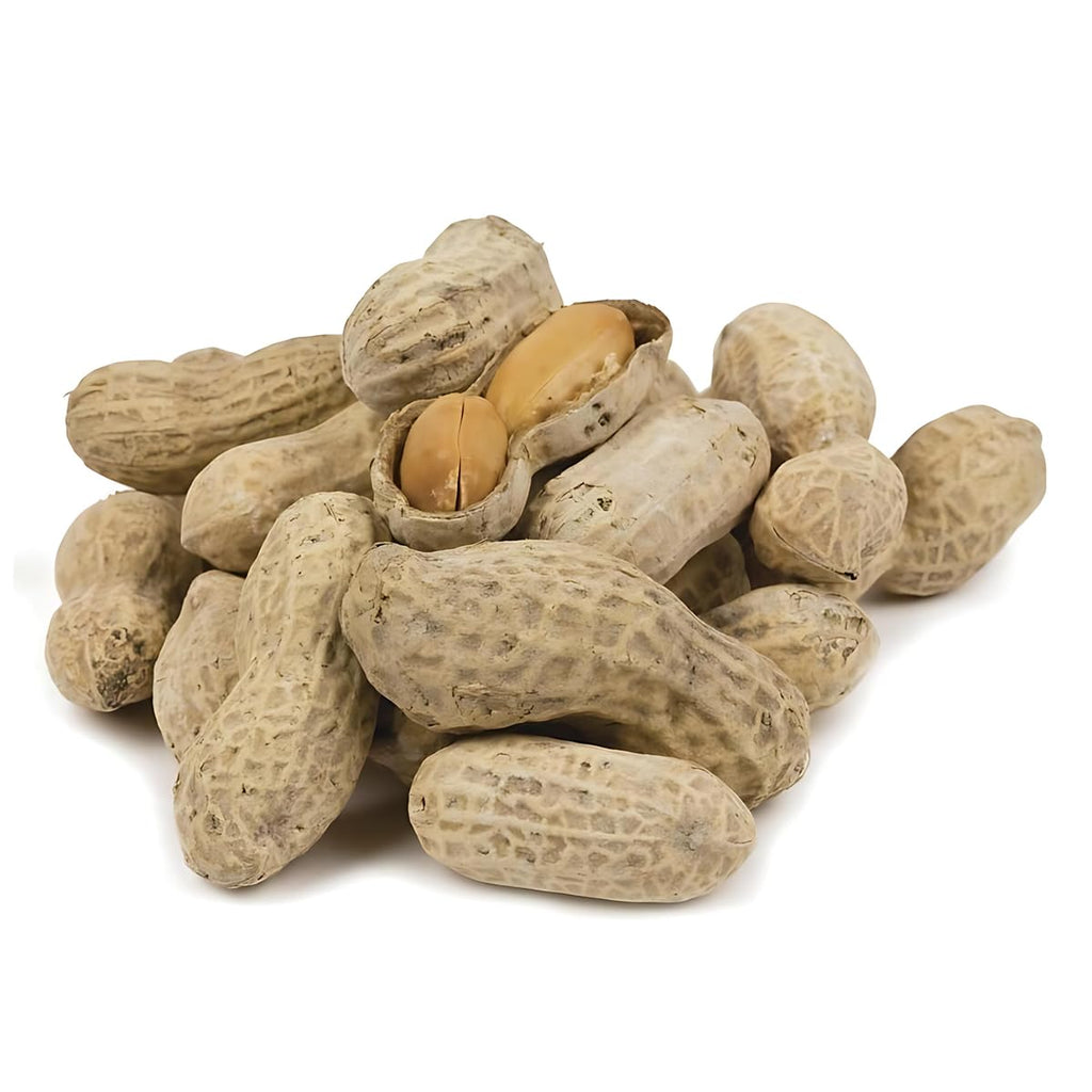 Jumbo Peanuts Roasted Salted In-Shell 5 Pounds L814838