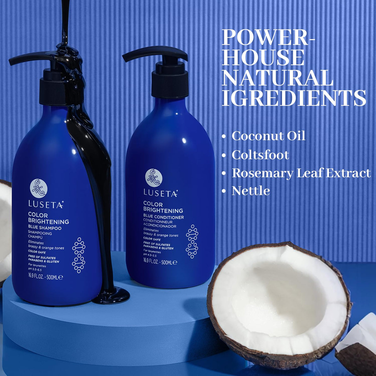 Blue Shampoo & Conditioner Set 2x16.9oz P1058
