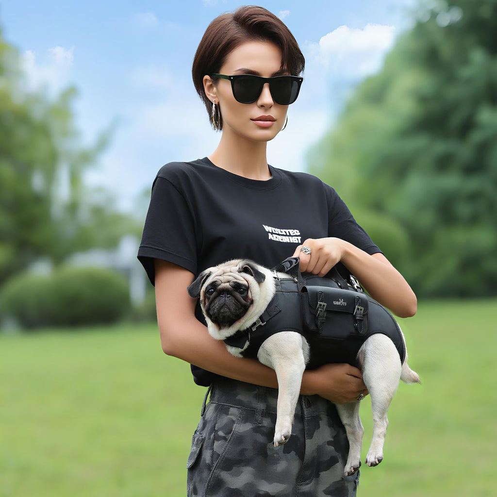 Dog Backpack Carrier N1877