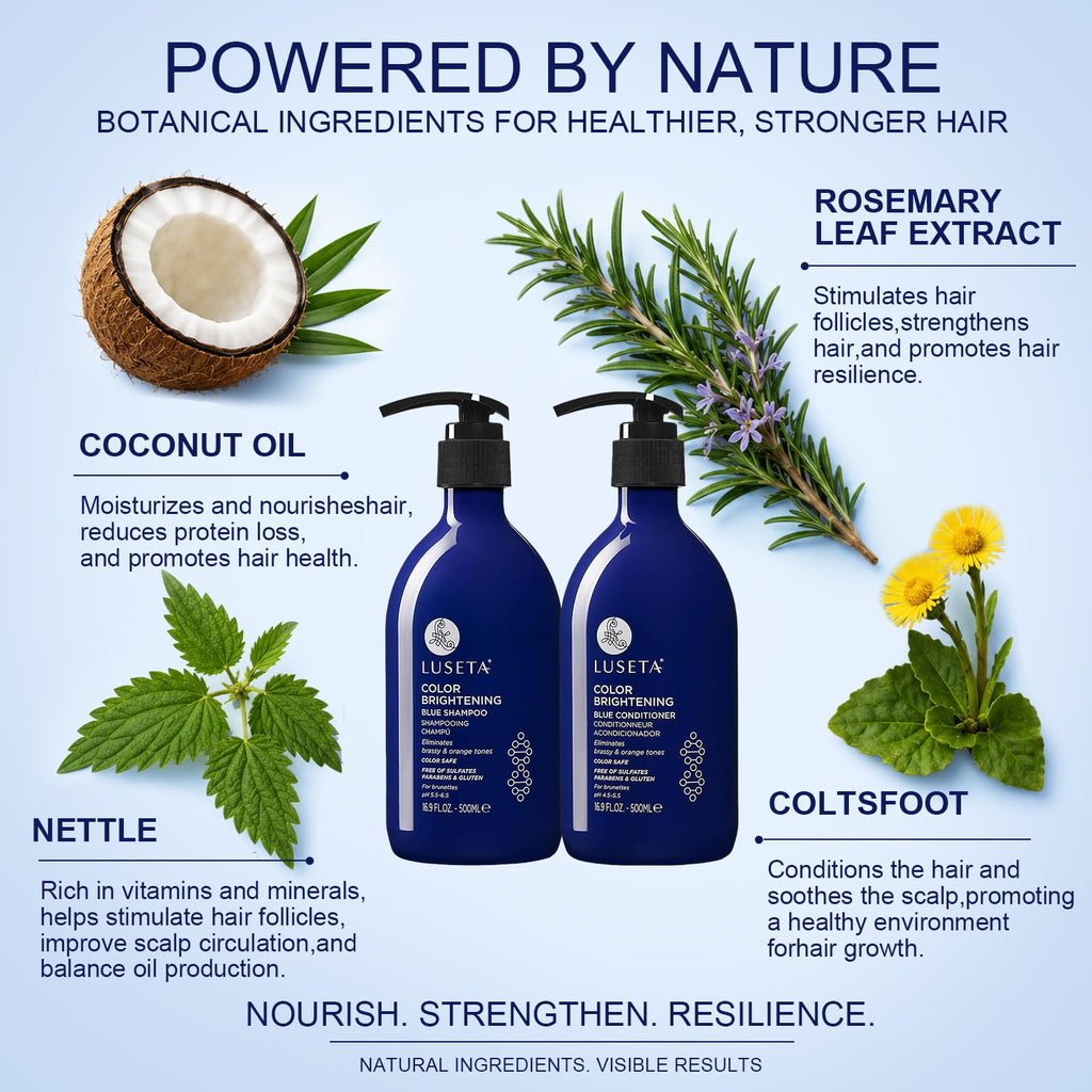 Blue Shampoo & Conditioner Set 2x16.9oz P1058