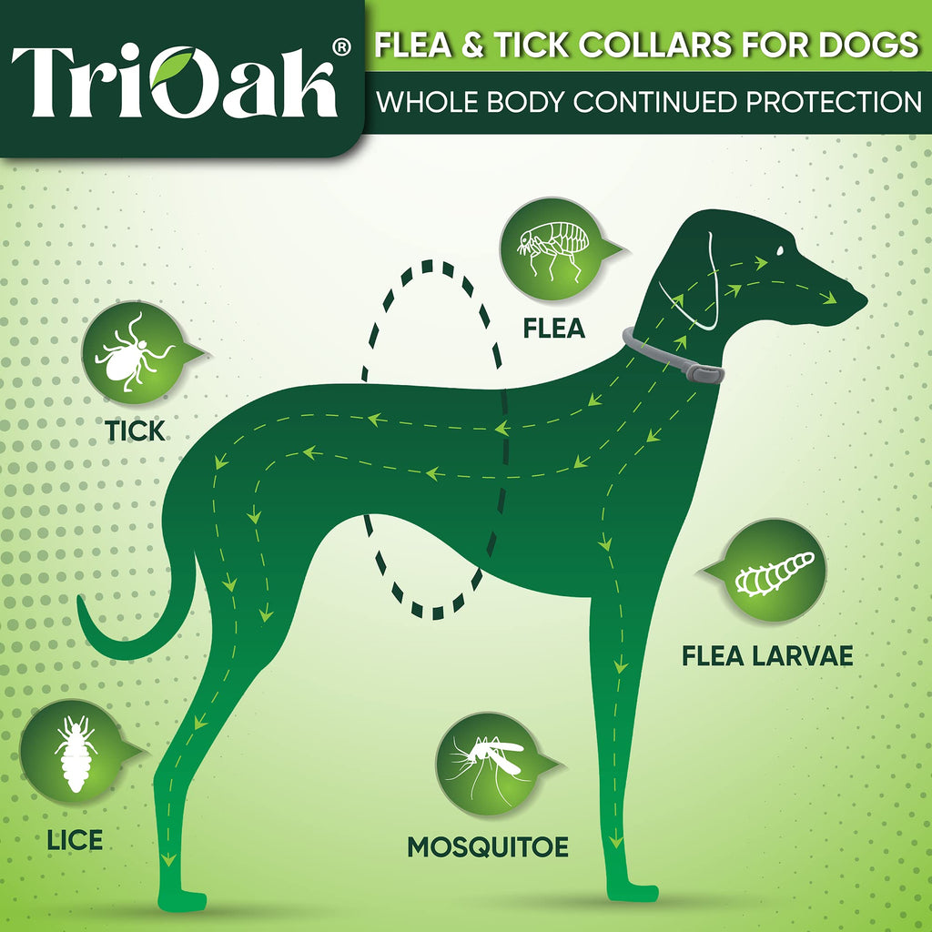 Adjustable Flea and Tick Prevention Dog Collar J493892
