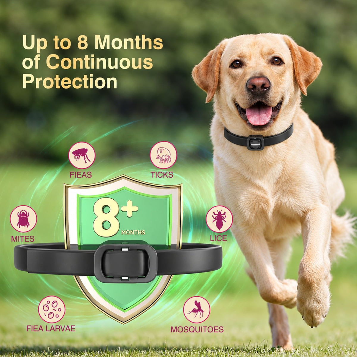 4 Pack Dog Flea Collar G3139