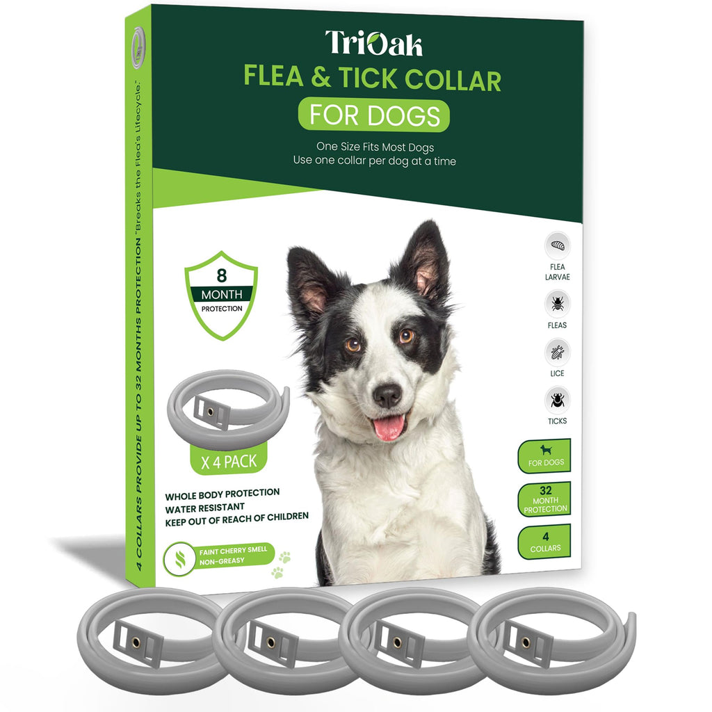 Adjustable Flea and Tick Prevention Dog Collar J493892
