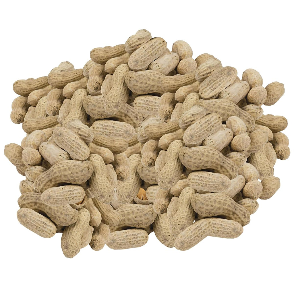 Jumbo Peanuts Roasted Salted In-Shell 5 Pounds L814838