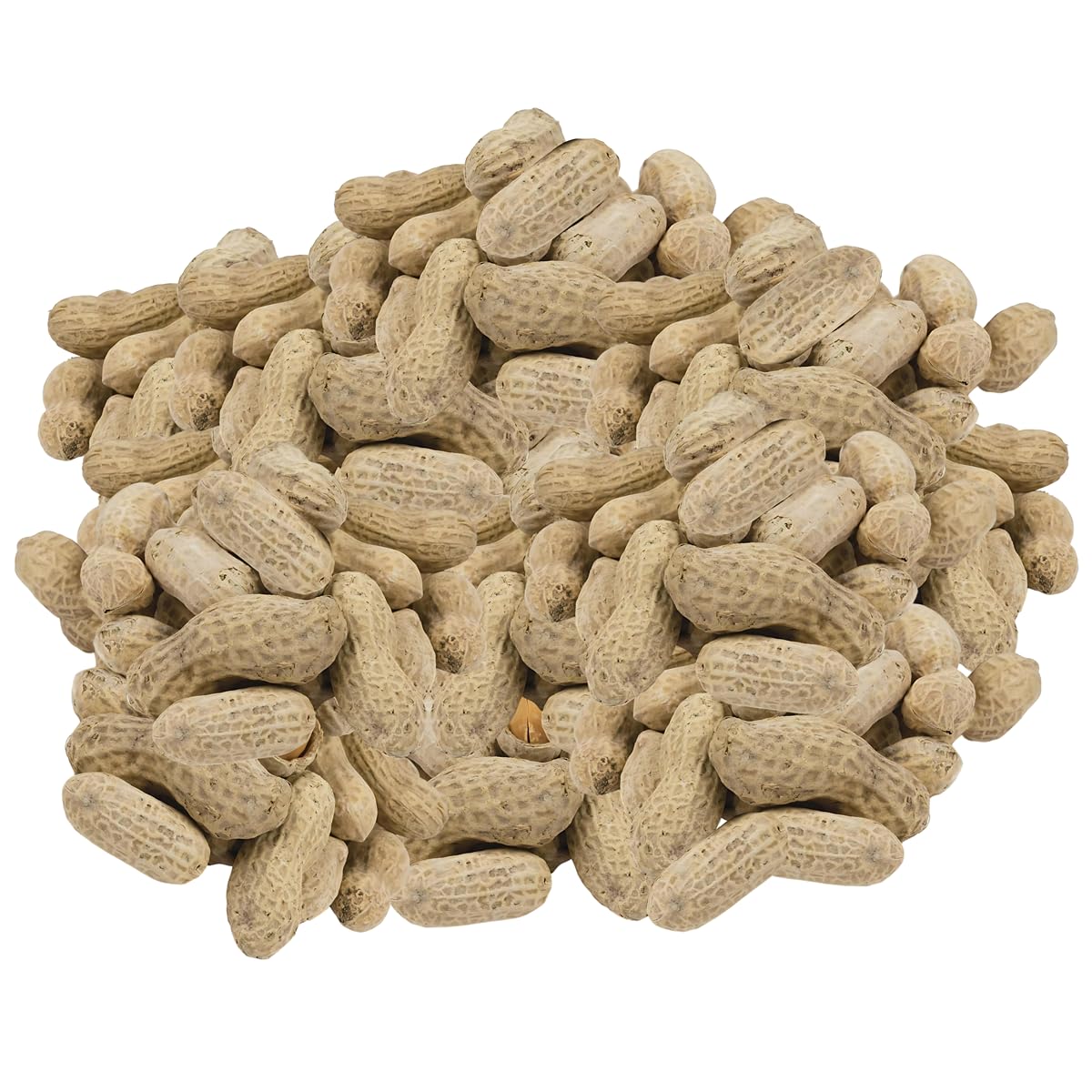 Jumbo Peanuts Roasted Salted In-Shell 5 Pounds L814838