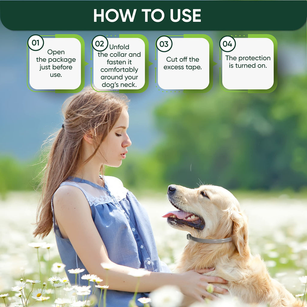 Adjustable Flea and Tick Prevention Dog Collar J493892