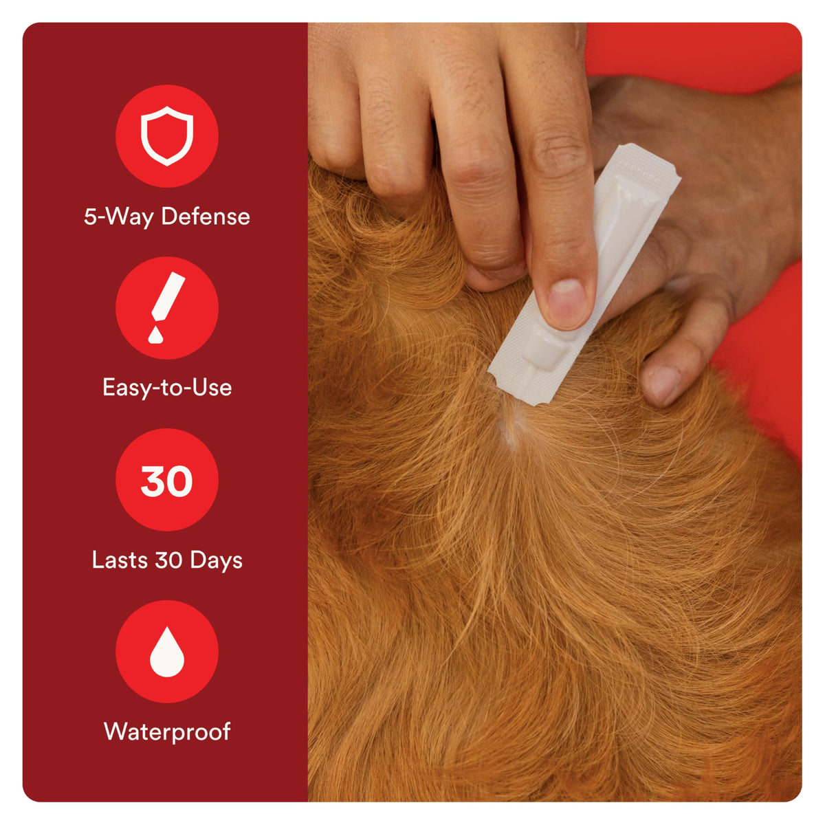 Flea and Tick Prevention for Small Dogs 4-10 lbs (4 Doses) + Flea Treatment for Dogs 2-25 lbs (6 Doses) Bundle I283564