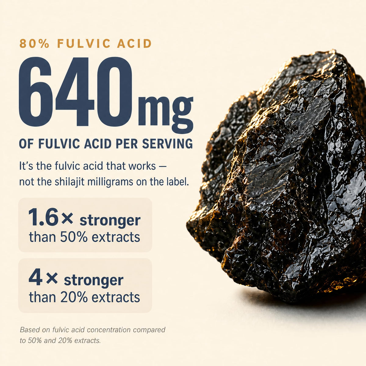 Shilajit 1250 mg 60 Caps W84796