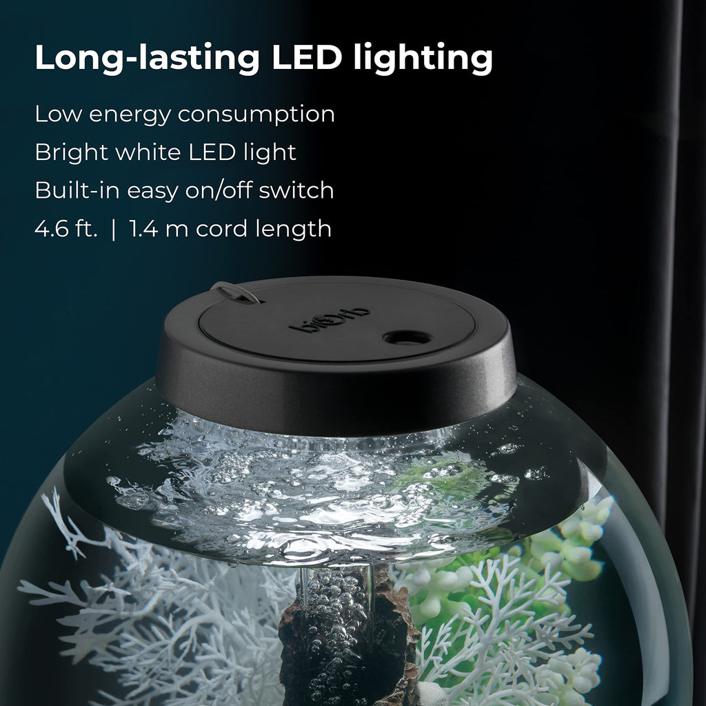 15 Acrylic Aquarium with White LED Lights Z37131