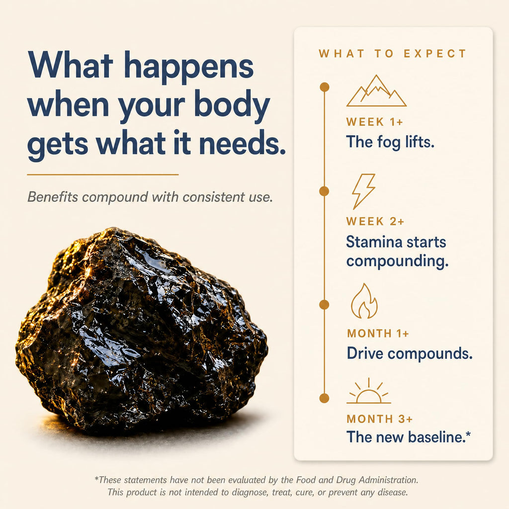 Shilajit 1250 mg 60 Caps W84796
