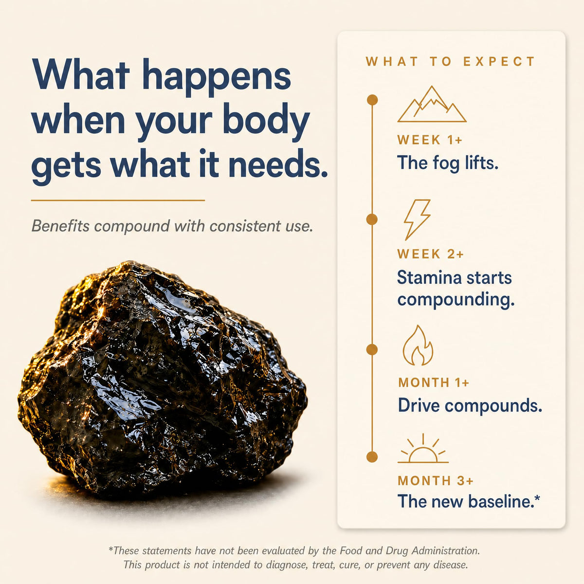 Shilajit 1250 mg 60 Caps W84796