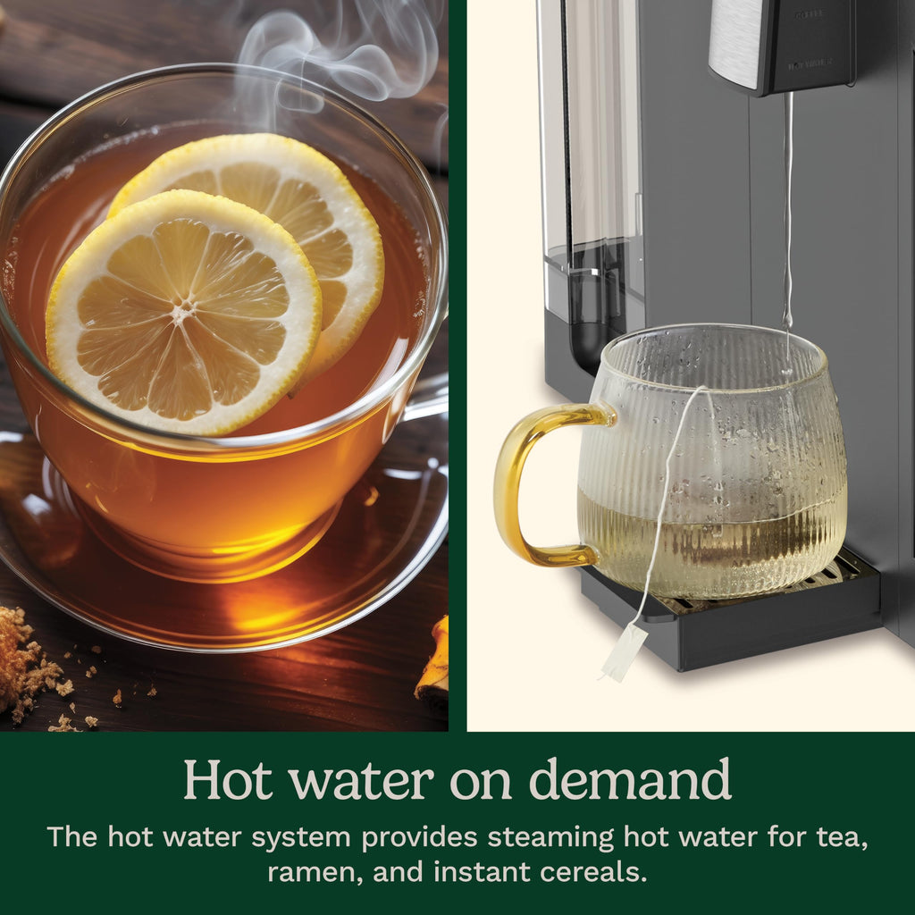 3-in-1 12 Cup Programmable Coffee Maker C2401