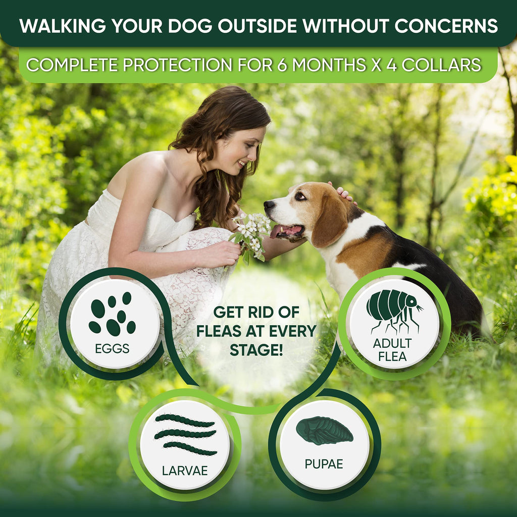 Adjustable Flea and Tick Prevention Dog Collar J493892