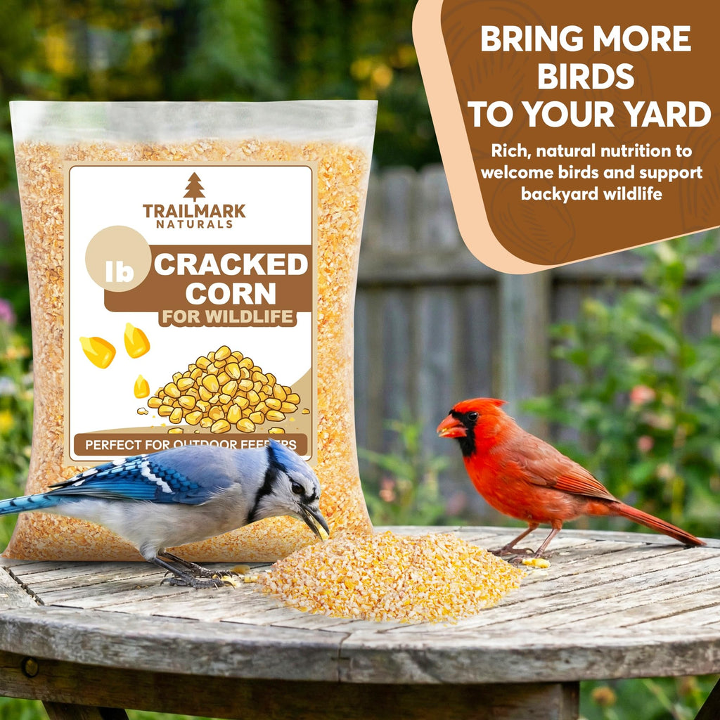 Cracked Corn 20 lb Bird Seed & Wildlife Feed D53821