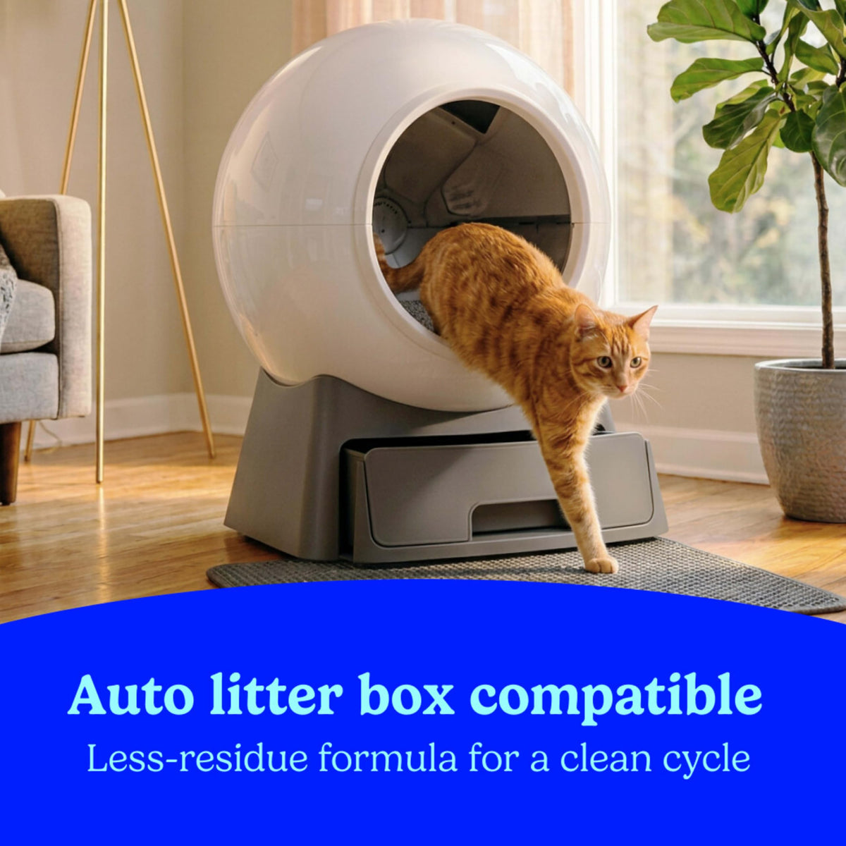 Clumping Cat Litter Multi-Cat Odor Control 14 lbs Pack of 2 Y83042