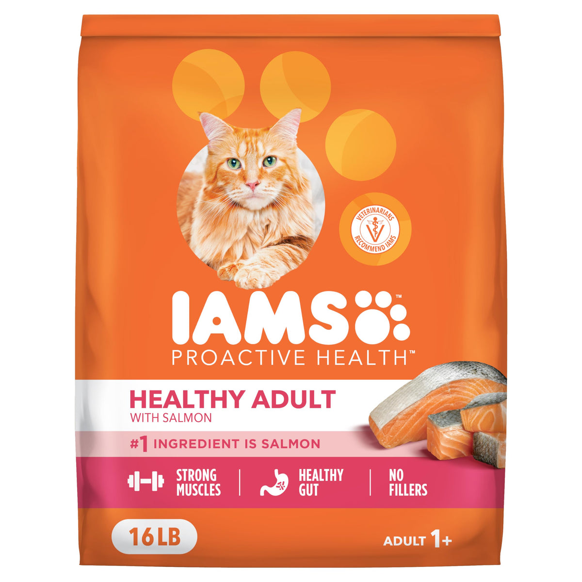 Dry Cat Food, Salmon, 16 lb M300220