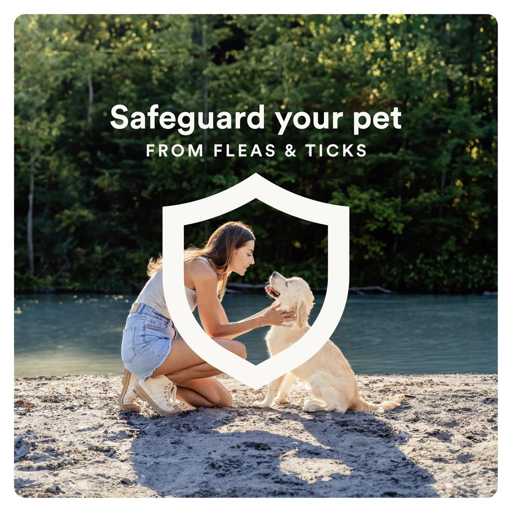 Flea and Tick Prevention for Small Dogs 4-10 lbs (4 Doses) + Flea Treatment for Dogs 2-25 lbs (6 Doses) Bundle I283564