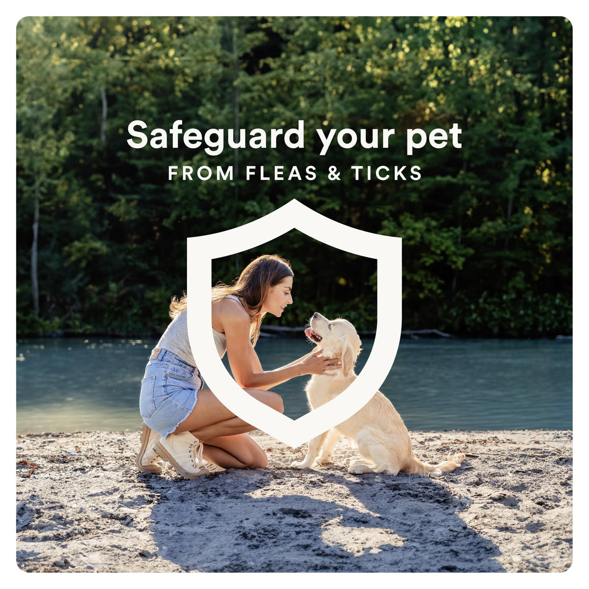 Flea and Tick Prevention for Small Dogs 4-10 lbs (4 Doses) + Flea Treatment for Dogs 2-25 lbs (6 Doses) Bundle I283564