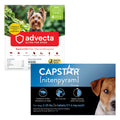Flea and Tick Prevention for Small Dogs 4-10 lbs (4 Doses) + Flea Treatment for Dogs 2-25 lbs (6 Doses) Bundle I283564