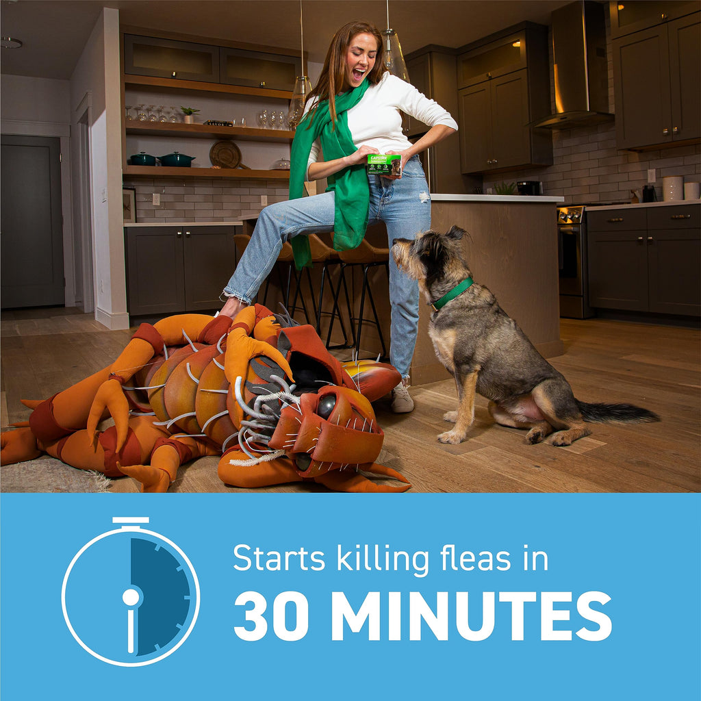 Flea and Tick Prevention for Small Dogs 4-10 lbs (4 Doses) + Flea Treatment for Dogs 2-25 lbs (6 Doses) Bundle I283564