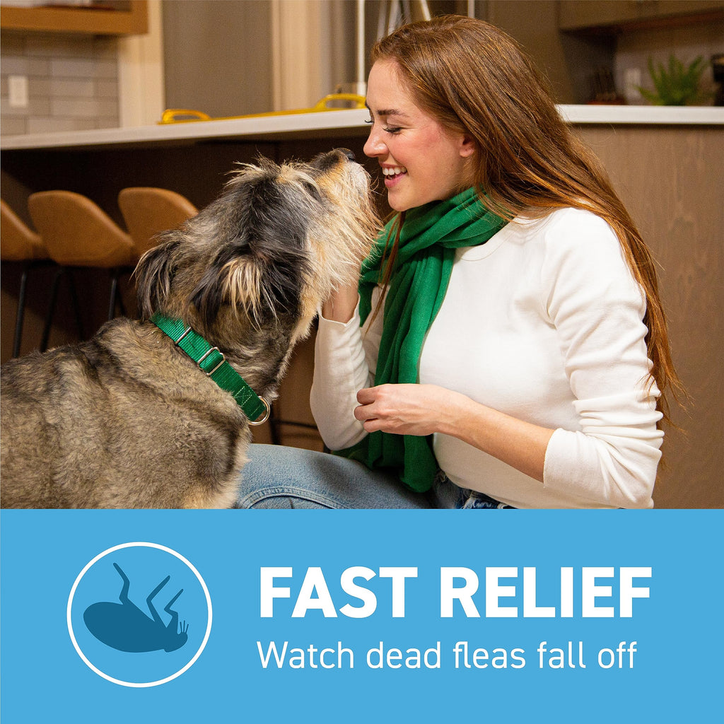Flea and Tick Prevention for Small Dogs 4-10 lbs (4 Doses) + Flea Treatment for Dogs 2-25 lbs (6 Doses) Bundle I283564